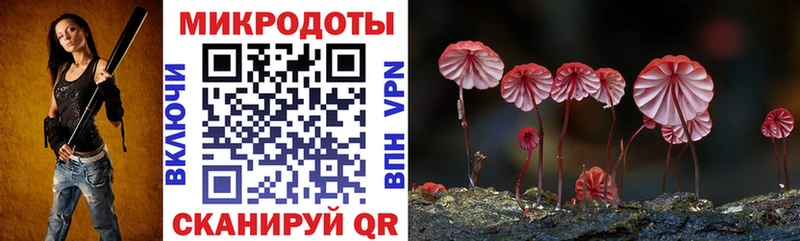 Псилоцибиновые грибы Cubensis  Дагестанские Огни 