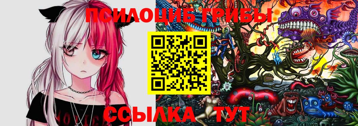Псилоцибиновые грибы GOLDEN TEACHER  Вход с VPN  Дагестанские Огни 